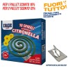 ABR SPIRALE CITRONEL 13GR 10PZ C/SUPP
