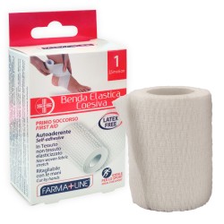 BMI BENDA ELAST. COESIVA 6CMx2,5M FARMA