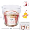 EDC CANDELA APPLE PIE VASO 460G
