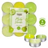 FDC TEALIGHT SFUMATE MELA VERDE 9PZ