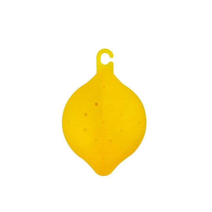 BNF DEO LAVASTOVIGLIE IRGE 1PZ LIMONE