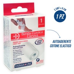 BMI BENDA ELAST. COESIVA 6CMx2,5M FARMA