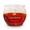 BQA CANDELA PROF ROTONDA 70GR NATALE VANILLA + WINTER BERRIES