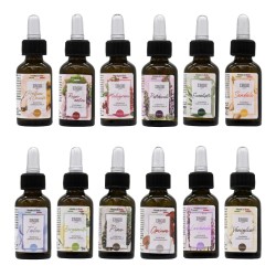 GAI DEO ESS. PROF.15ML 60PZ EXPO IRGE 12 PROFUMAZIONI IDROSOLUBILI