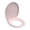 EBU SEDILE WC ASS.TI