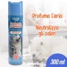 ABO DEO PET 300 ML TALCO