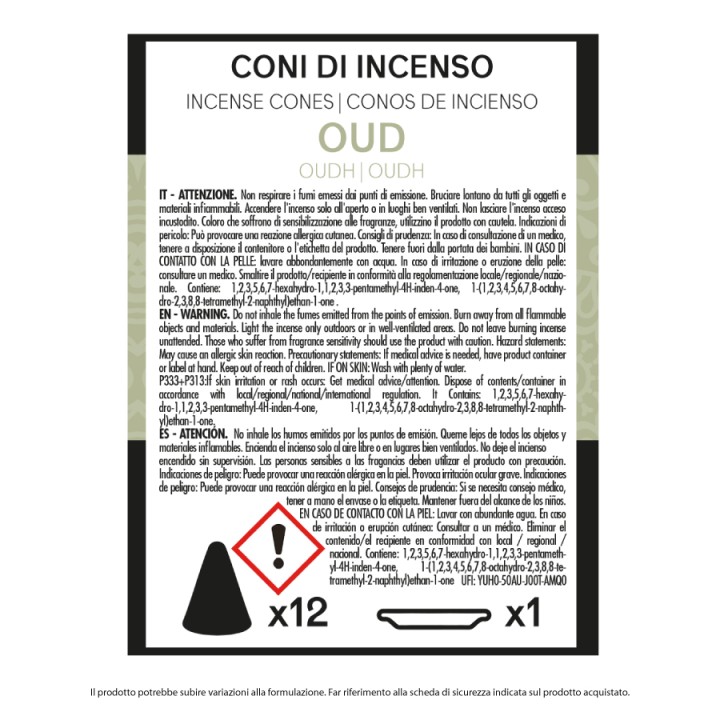 BMQ CONO INCENSO 12 PZ HOUD