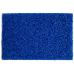 AFU SPUGNA ABRASIVA PRIMAVERA 4P 10x1