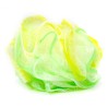BFZ SPUGNA BAGNO CAPRICCIO 30GR