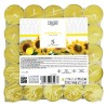 ABN 25PZ TEALIGHT ALLA  CITRONELLA