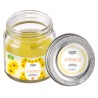 ABF CANDELA CITRONELLA 60G