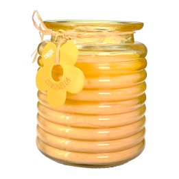 ABE CANDELA CITRONELLA 110GR VETRO ONDA