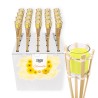 ABP IRGE TORCIA CITRONELLA