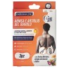 ABK CEROTTI ARNICA 8X21,5 3 PZ