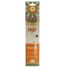 ADJ INCENSO CANNELLA 20 STICK