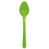 BMQ CUCCHIAINO PP VERDE 20 PZ