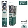 ADJ INCENSO PENSIERI POSITIVI 20 STICK
