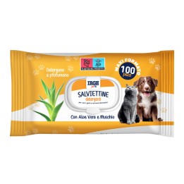 ABU SALVIETTE PROFUMATE 100PZ PET