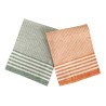 CAO STROFINACCIO 2PZ 50x70 ARIANNA