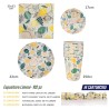 ABA ESPOSITORE LIMONI 102PZ